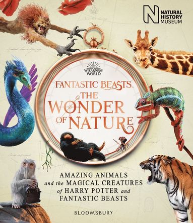 Fantastic Beasts: The Wonder of Nature (hftad)