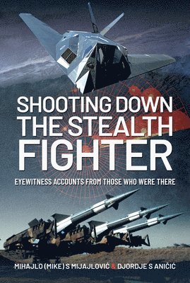 Shooting Down the Stealth Fighter (häftad)