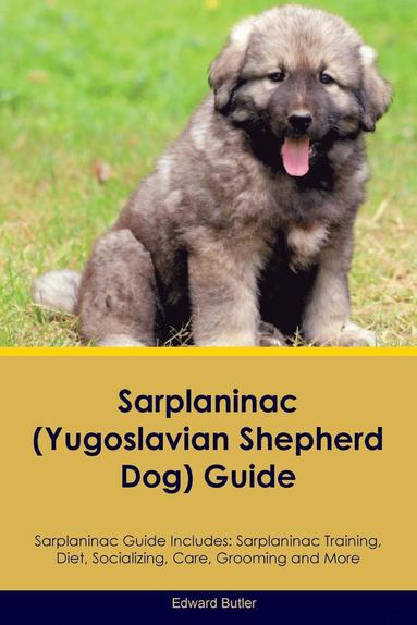 Sarplaninac Guide Sarplaninac Guide Includes (inbunden)