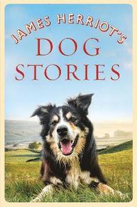 James Herriot's Dog Stories (häftad)