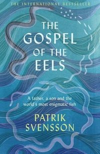 Gospel Of The Eels (häftad)
