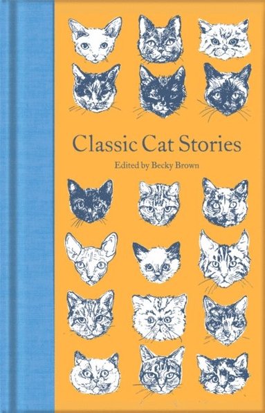 Classic Cat Stories (h�ftad)