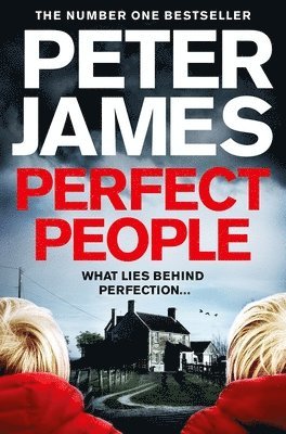 Perfect People (häftad)
