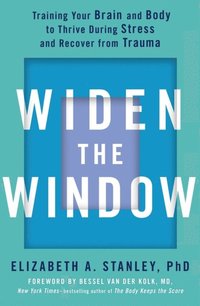 Widen the Window (e-bok)