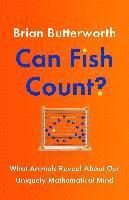 Can Fish Count? (häftad)