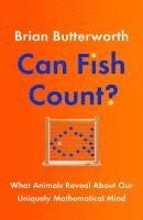 Can Fish Count? (häftad)