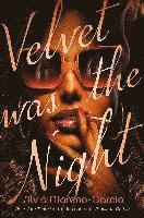 Velvet Was The Night (hftad)