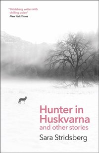 Hunter in Huskvarna (e-bok)