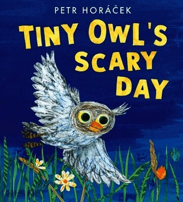 Tiny Owl's Scary Day (kartonnage)