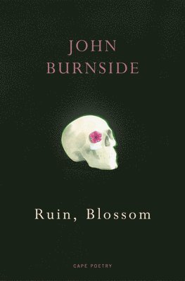 Ruin, Blossom (h�ftad)