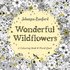 Wonderful Wildflowers