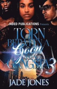 Torn Between a Goon and a Gangsta 3 (hftad)