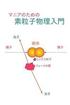 Elementary Particle Physics for Enthusiasts: Japanese Edition