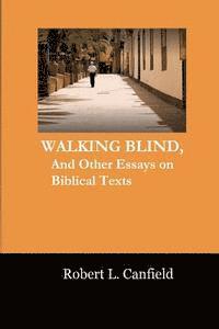 Walking Blind: And Other Essays on Biblical Texts (häftad)