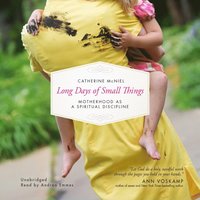 Long Days of Small Things (ljudbok)