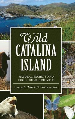 Wild Catalina Island: Natural Secrets and Ecological Triumphs (inbunden)