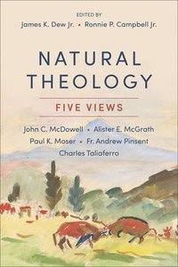 Natural Theology: Five Views (inbunden)