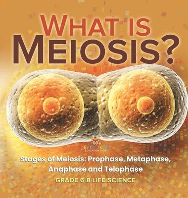 What is Meiosis? Stages of Meiosis, Prophase, Metaphase, Anaphase and Telophase Grade 6-8 Life Science (häftad)