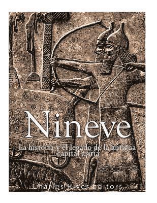 Nnive: la historia y el legado de la antigua capital asiria (hftad)