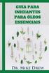 Guia para iniciantes para oleos essenciais