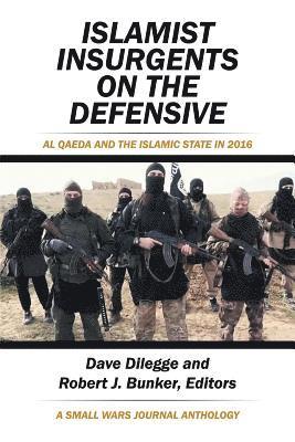 Islamist Insurgents on the Defensive (h�ftad)