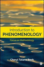 Introduction to Phenomenology (häftad)