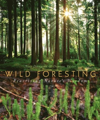 Wild Foresting (inbunden)