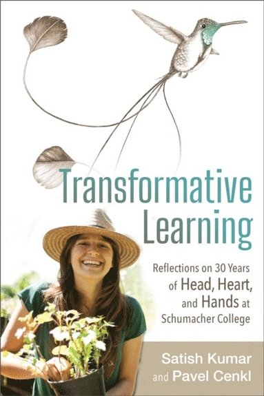 Transformative Learning (inbunden)