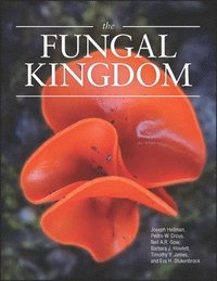 The Fungal Kingdom (inbunden)