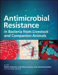 Antimicrobial Resistance in Bacteria from Livestock and Companion Animals (inbunden)