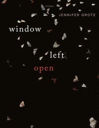 Window Left  Open (e-bok)