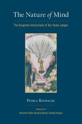 Nature of Mind (inbunden)