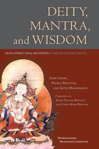 Deity, Mantra, and Wisdom (hftad)