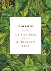 Little Book On The Christian Life, A (hftad)
