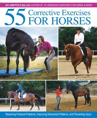 55 Corrective Exercises for Horses (inbunden)