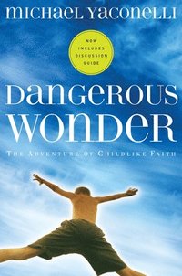 Dangerous Wonder YS (hftad)