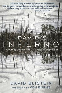 David's Inferno (hftad)