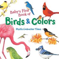 Baby's First Book of Birds & Colors (kartonnage)