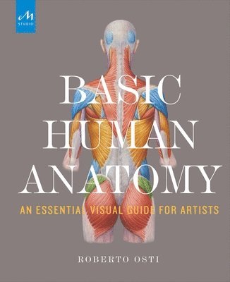 Basic Human Anatomy (häftad)