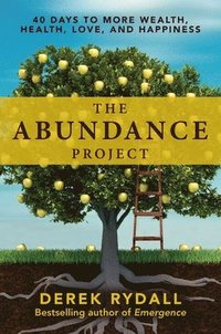 The Abundance Project (häftad)