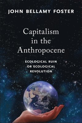 Capitalism in the Anthropocene (inbunden)