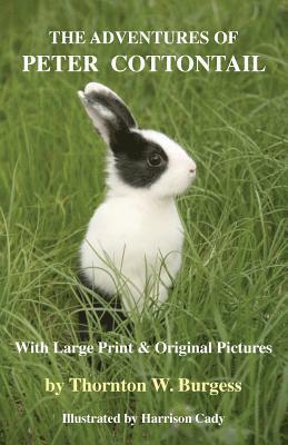 Adventures of Peter Cottontail (hftad)