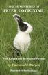 Adventures of Peter Cottontail