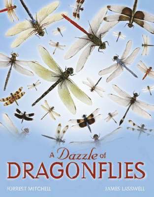 A Dazzle of Dragonflies (inbunden)