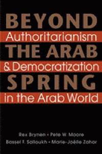 Beyond the Arab Spring (hftad)