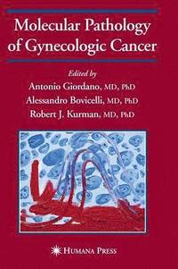 Molecular Pathology of Gynecologic Cancer (inbunden)