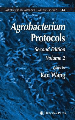 Agrobacterium Protocols (inbunden)