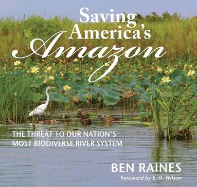 Saving America's Amazon (inbunden)