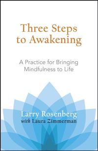Three Steps to Awakening (hftad)