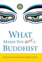 What Makes You Not a Buddhist (häftad)